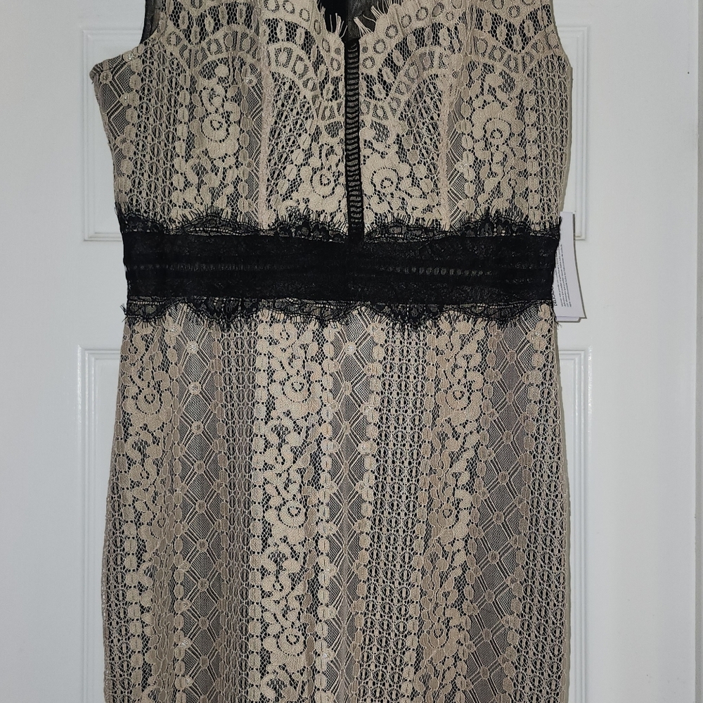 Guess Sleeveless Lace Sheath Dress in Beige and Black NWT